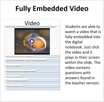 Animal Cells - Digital Interactive Notebook Pages, image 3
