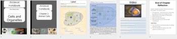 Animal Cells - Digital Interactive Notebook Pages, image 4