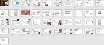 Integumentary System - PowerPoint Lesson and Student Notes, image 4