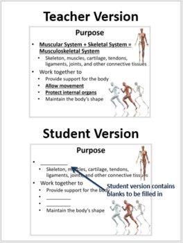 Muscular and Skeletal System Lesson | Structure and Function of Body Systems, image 2