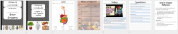 The Digestive System - Digital Interactive Notebook Pages, image 4