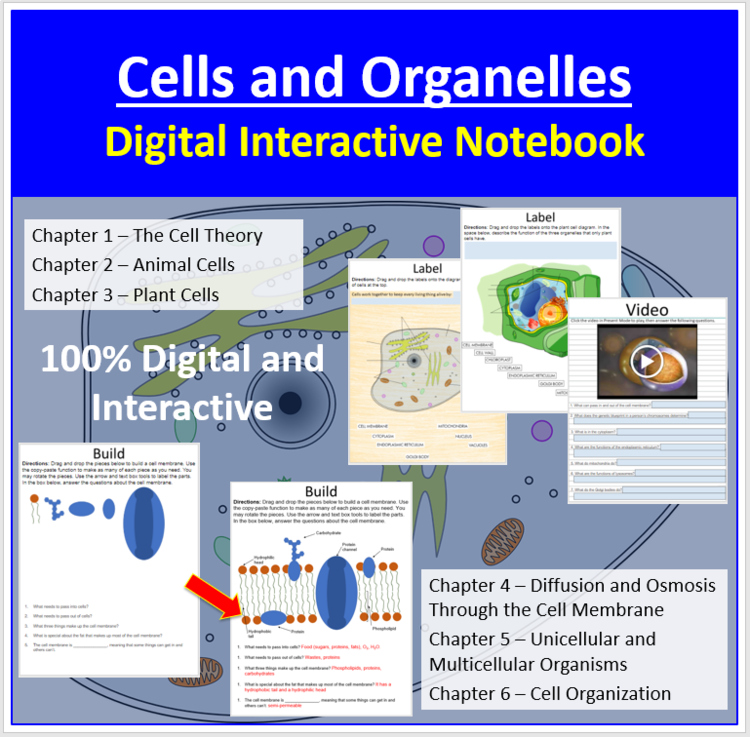 Cells and Organelles - Digital Interactive Notebook Bundle