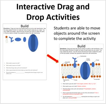 Cells and Organelles - Digital Interactive Notebook Bundle, image 2