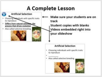 Reproductive Technologies - 5E Lesson Bundle, image 3