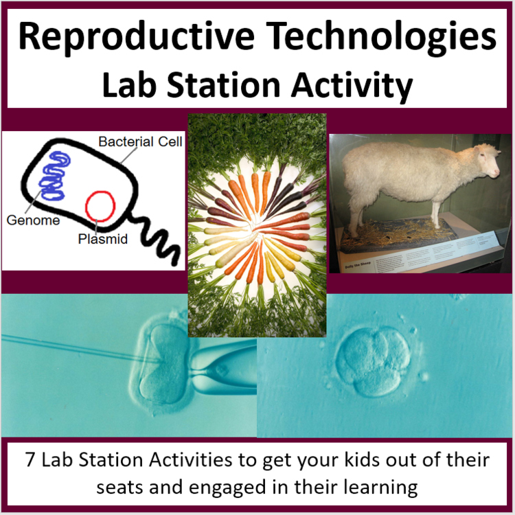 Reproductive Technologies Lab Station Activity | 7 Hands-on Activities