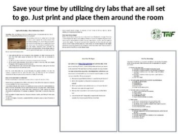 The Rock Cycle Lab Station Activity | 7 Hands-on Activities | Rock Layers, image 4