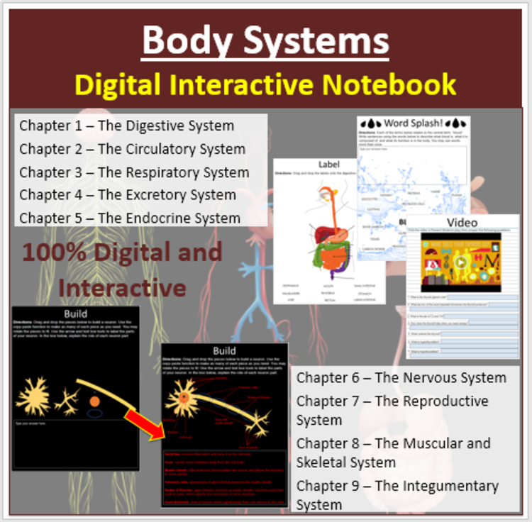 Body Systems - Digital Interactive Notebook Bundle | 45 Engaging Activities