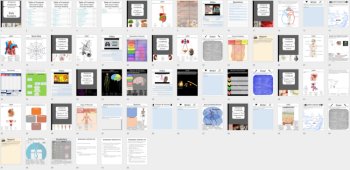 Body Systems - Digital Interactive Notebook Bundle | 45 Engaging Activities, image 4