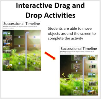Ecological Succession - Digital Interactive Notebook Pages, image 2