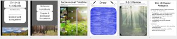 Ecological Succession - Digital Interactive Notebook Pages, image 4