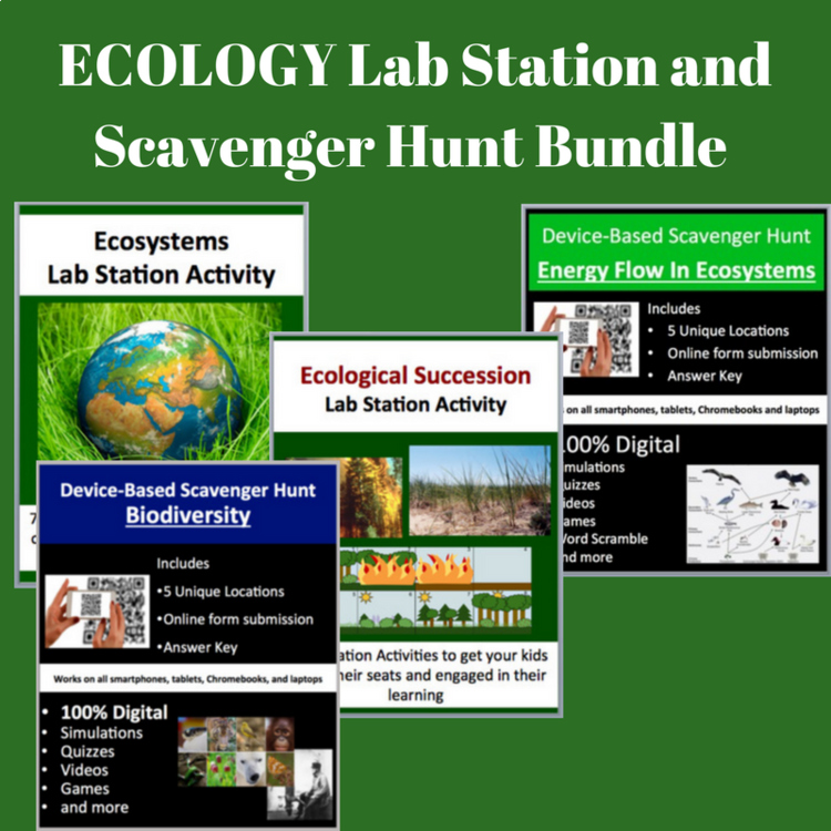 Ecology Activities Bundle - Lab Stations & Digital Scavenger Hunts