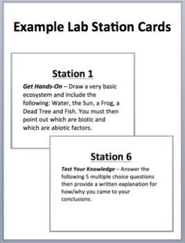Ecology Activities Bundle - Lab Stations & Digital Scavenger Hunts, image 3