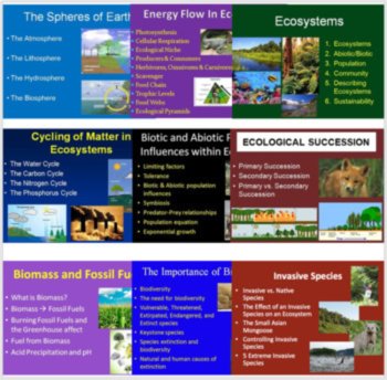 Ecology Unit Bundle - Digital Interactive Notebook PLUS 9 Corresponding Lessons, image 4