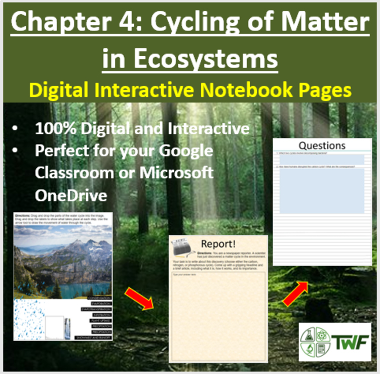 Cycling of Matter in Ecosystems - Digital Interactive Notebook Pages