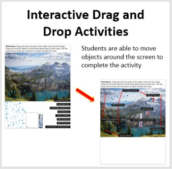 Cycling of Matter in Ecosystems - Digital Interactive Notebook Pages, image 2