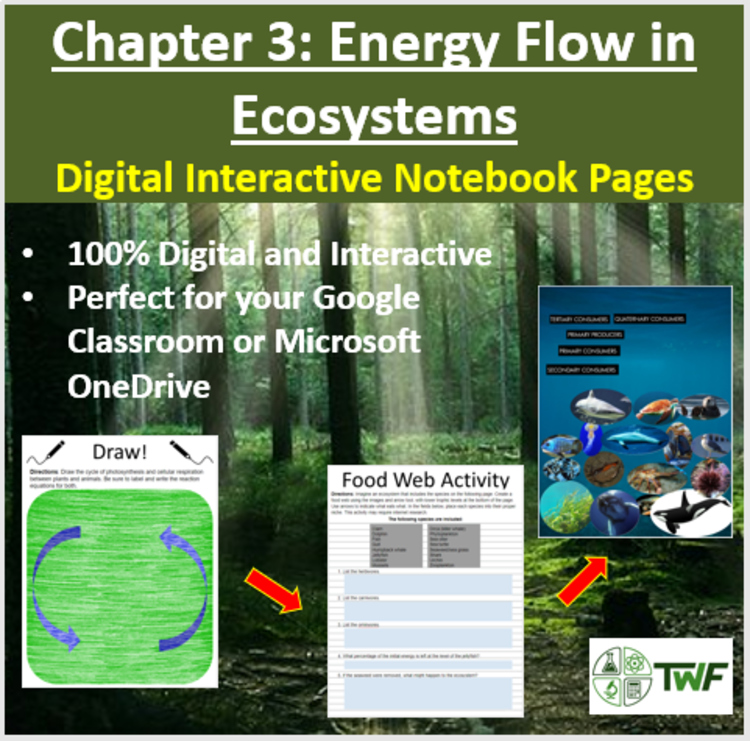 Energy Flow in Ecosystems - Digital Interactive Notebook Pages