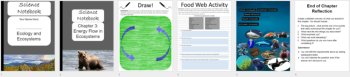 Energy Flow in Ecosystems - Digital Interactive Notebook Pages, image 4