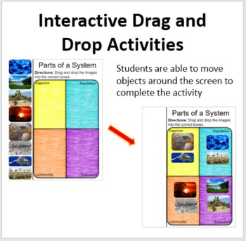 Introducing Ecosystems Digital Interactive Notebook | Ecology Activities, image 2
