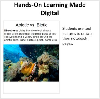 Introducing Ecosystems Digital Interactive Notebook | Ecology Activities, image 3