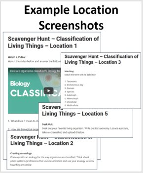 Classification of Living Things – A Digital Scavenger Hunt Activity, image 4