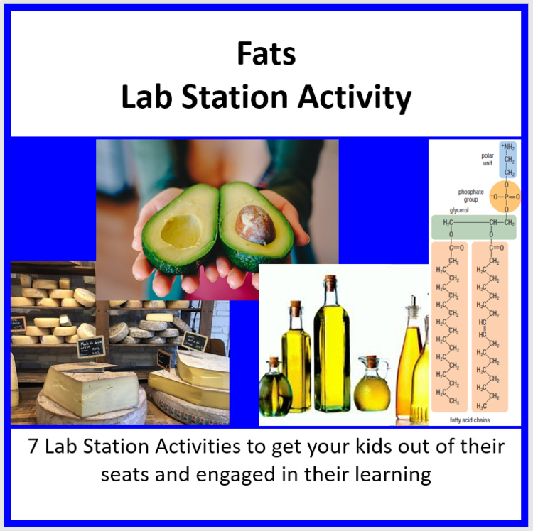 Fats Lab Station Activity | 7 Hands-on Activities | Lipids, Worksheet
