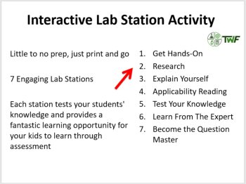 Fats Lab Station Activity | 7 Hands-on Activities | Lipids, Worksheet, image 2