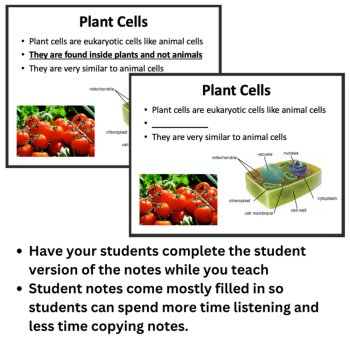Animal and Plant Cells Lesson | Components, Organelles, Theory | 6th, 7th, 8th, image 2