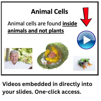 Animal and Plant Cells Lesson | Components, Organelles, Theory | 6th, 7th, 8th, image 3
