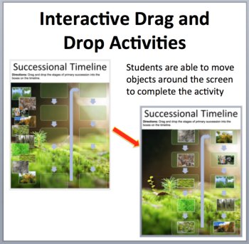 Ecology and Ecosystems - Digital Interactive Notebook Bundle, image 2