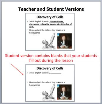 The Cell Theory - A Middle School Biology Lesson, image 2