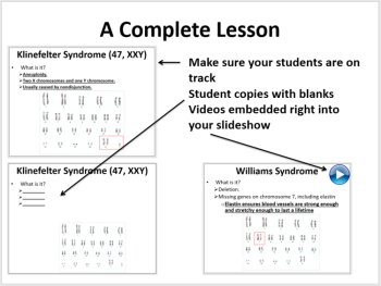 Genetic Disorders - 5E Lesson Bundle | Autosomal Recessive Diseases, Chromosomes, image 3