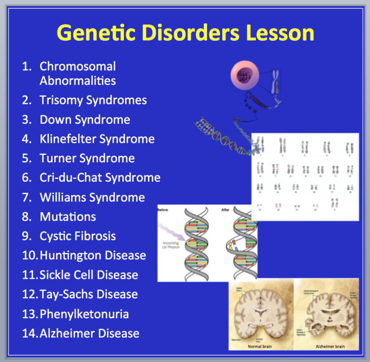 Genetic Disorders - Senior Biology PowerPoint Lesson and Student Notes Package