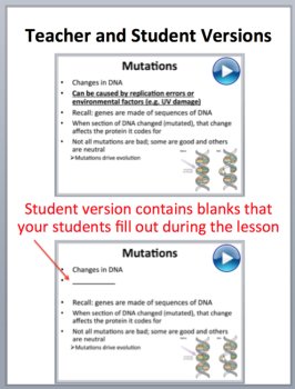 Genetic Disorders - Senior Biology PowerPoint Lesson and Student Notes Package, image 2