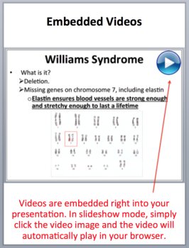 Genetic Disorders - Senior Biology PowerPoint Lesson and Student Notes Package, image 3