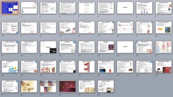Genetic Disorders - Senior Biology PowerPoint Lesson and Student Notes Package, image 4