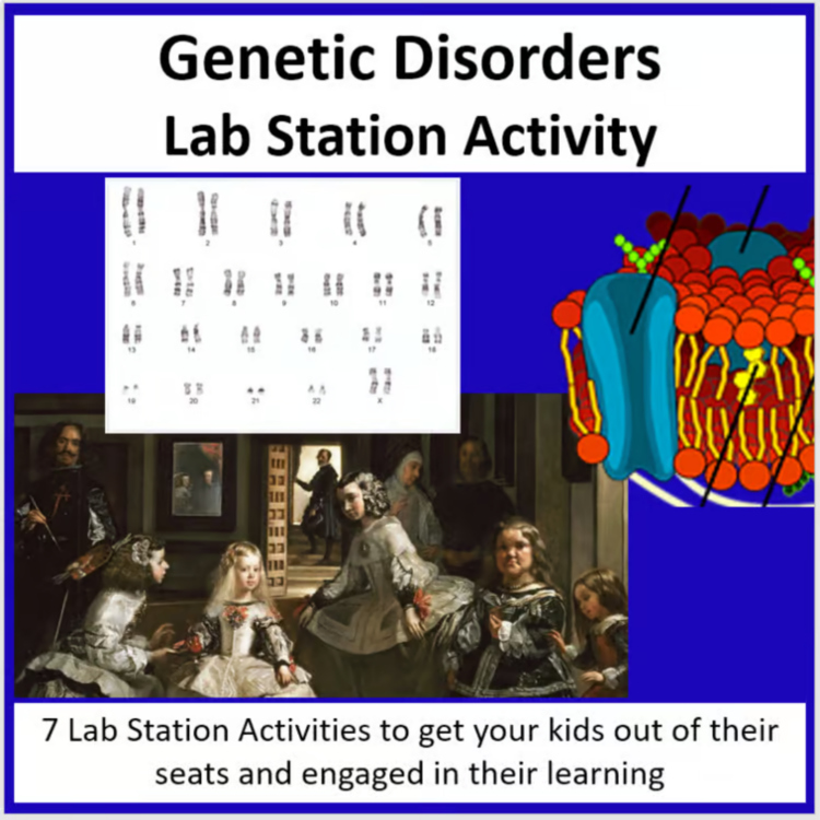 Genetic Disorders Lab Station Activity | 7 Hands-on Activities | Karyotypes