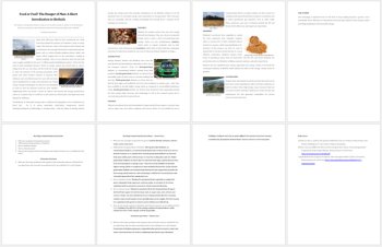 Biofuels - Food or Fuel? Reading Comprehension Passage - Grade 8 and Up, image 3