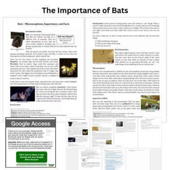 The Importance of Bats Reading Comprehension Passage & Questions | 6th, 7th, 8th, image 2
