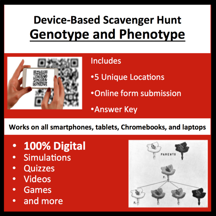 Genotype and Phenotype Digital Scavenger Hunt Activity | Genotypes, Phenotypes
