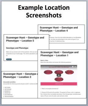 Genotype and Phenotype Digital Scavenger Hunt Activity | Genotypes, Phenotypes, image 2