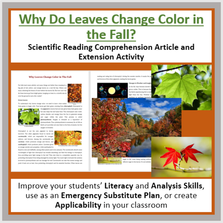 Why Leaves Change Color In The Fall Reading | Chlorophyll | Grade 8 and Up