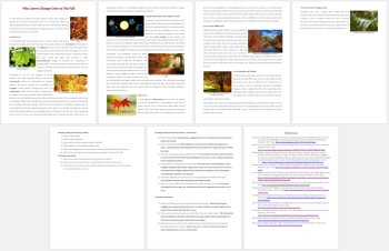 Why Leaves Change Color In The Fall Reading | Chlorophyll | Grade 8 and Up, image 3