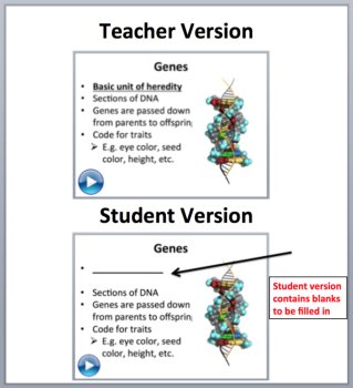 DNA, Genes, Chromosomes, and Alleles - A Genetics Introduction Lesson, image 2