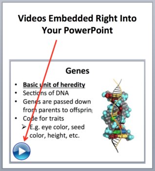 DNA, Genes, Chromosomes, and Alleles - A Genetics Introduction Lesson, image 3