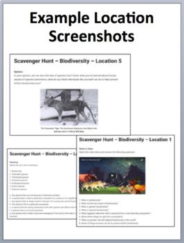 Ecology Digital Scavenger Hunt Activity Bundle | Ecosystems Activity Bundle, image 2