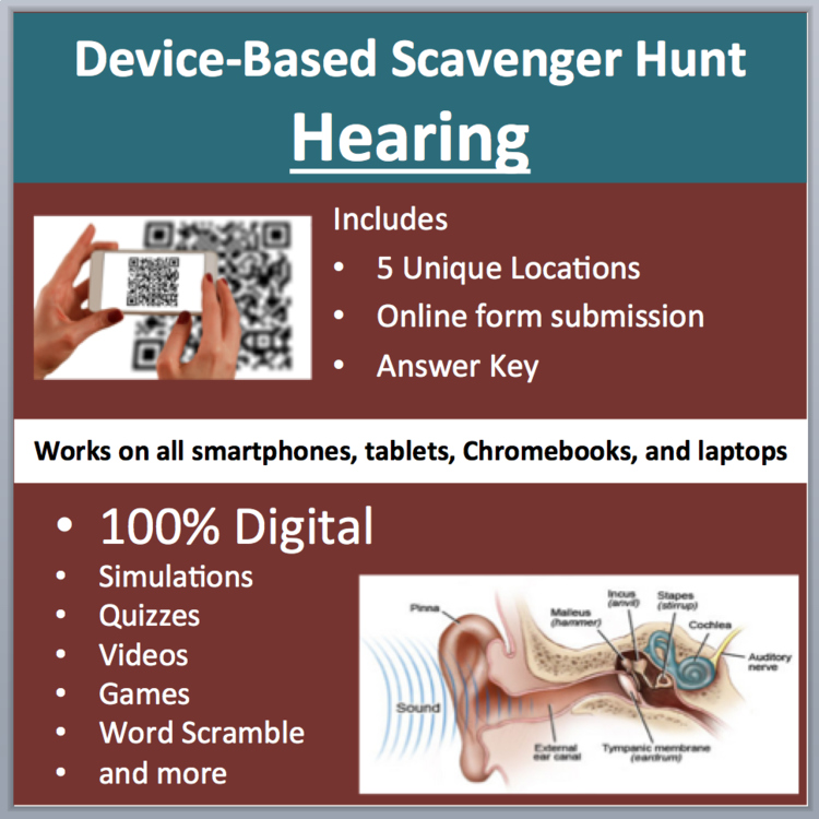 Hearing and the Human Ear Digital Scavenger Hunt Activity | Hearing loss