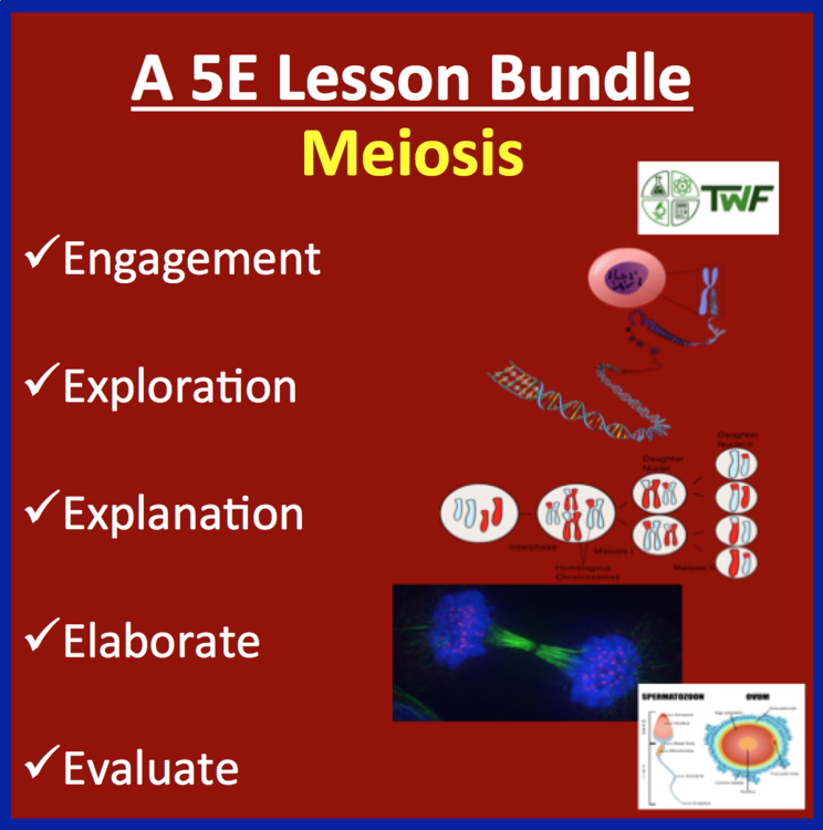 Meiosis Complete 5E Lesson Bundle | How Meiosis Creates Haploid Gametes