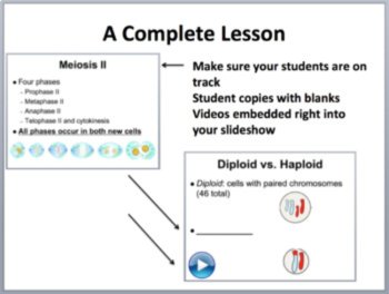 Meiosis Complete 5E Lesson Bundle | How Meiosis Creates Haploid Gametes, image 3