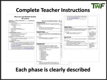 Mega Biology 5E Lesson Collection – Fully Editable Bundle | Daily Teaching Plans, image 2