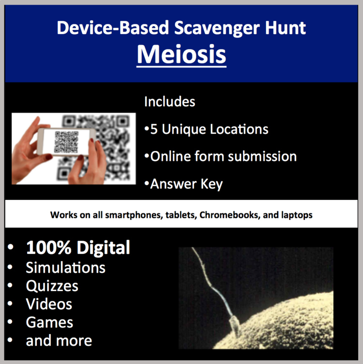 Meiosis – A Digital Scavenger Hunt Activity | Gametes, Zygotes, Chromosomes